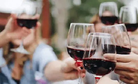 A group of people holding wine glasses at an outdoor table.