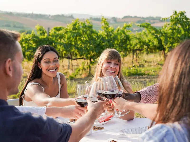 Group of friends enjoy a glass of red wine