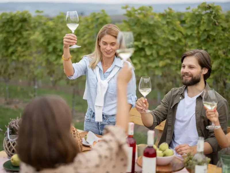 Friends drinking wine at picnic near vineyards